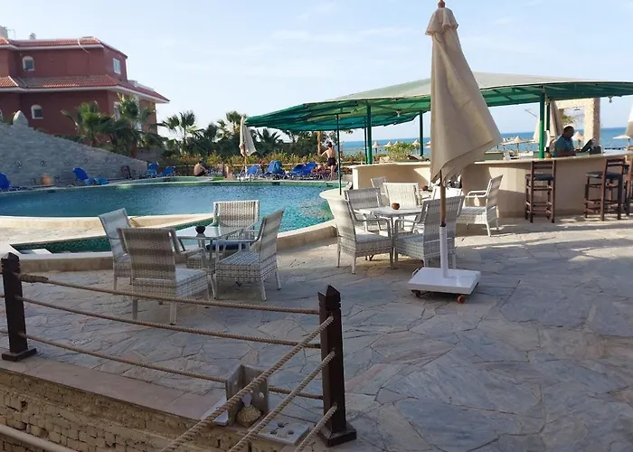 Resort Turtles