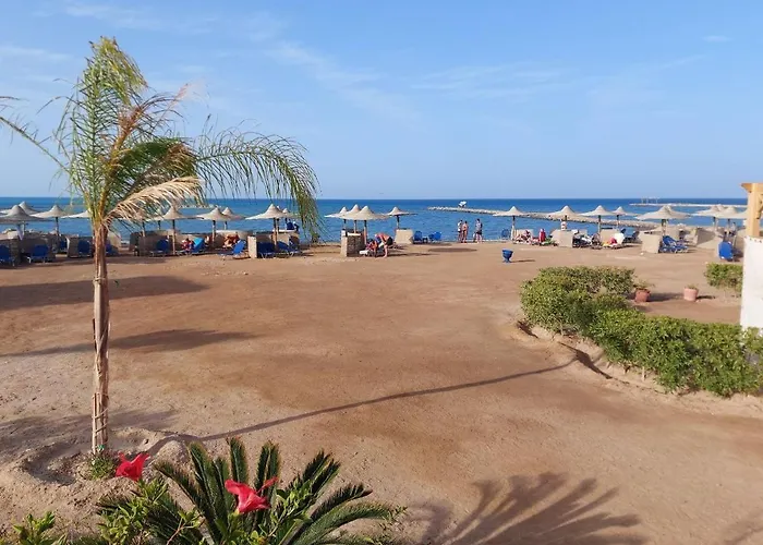 Turtles Hurghada
